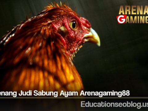 Trik Menang Judi Sabung Ayam Arenagaming88